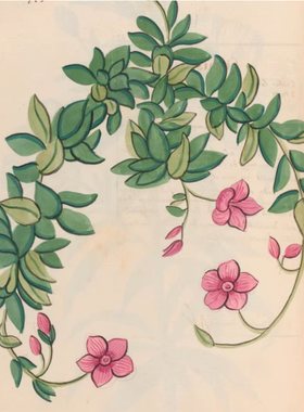 A609【法国】Pierre Savary 植物花卉水彩、版画V09网传电子图库.