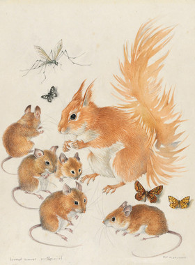 R556【英国】埃尔德里奇（Mildred E. Eldridge）水彩绘画图库