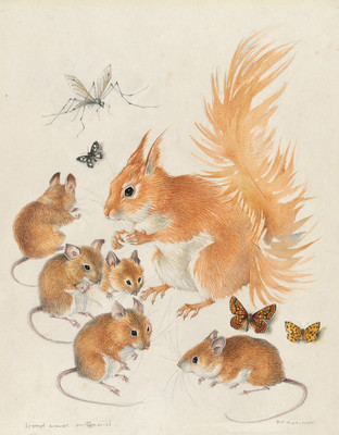R556【英国】埃尔德里奇（Mildred E. Eldridge）水彩绘画图库