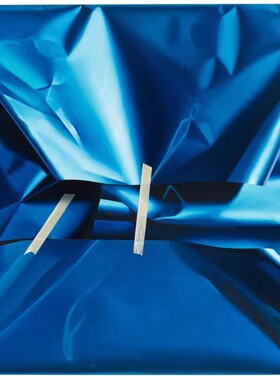 D426【瑞典】（Yrjo Edelmann）绘画版画装置艺术网传图库.