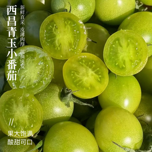 青玉小番茄绿色千禧果纯甜香甜现摘超甜青皮青番茄新鲜当季