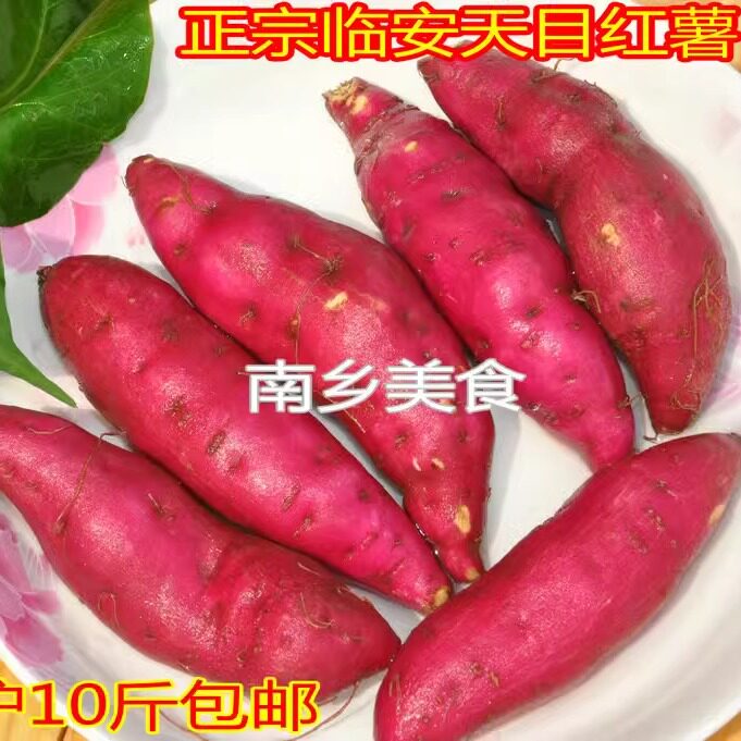 正宗临安新鲜红薯地瓜包邮黄心