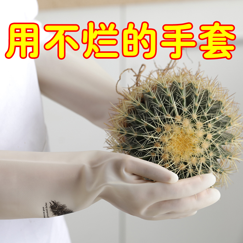 碗耐用型菜丁腈家务厨房洗衣防水服家用橡胶清洁刷神器洗碗手套女