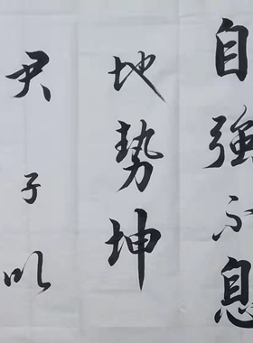 天行健挂画简军海行书装饰送礼