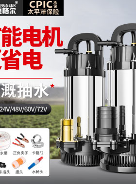 恒格尔12V直流潜水泵24V48V60V72伏电瓶电动车小型灌溉农用抽水机