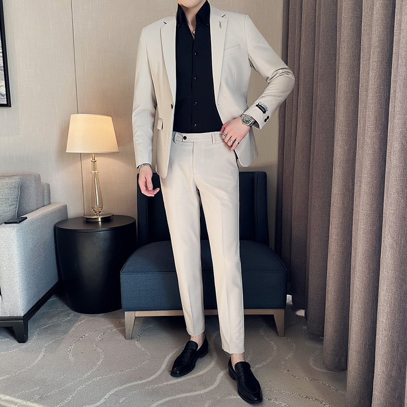 质感休闲西服套装修身男装高级感西装两件套米白色LJT6118-P215图片
