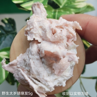 随缘发野生太岁肉灵芝5克透明小瓶装泡水净化水质土太岁聚肉视肉