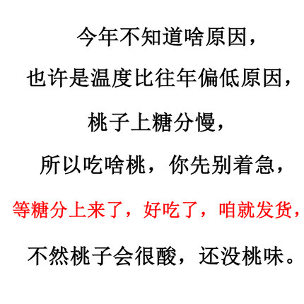 优惠促销蒙阴黄金油桃中甜3酸起步可软同期更好吃的有桃味黄油桃