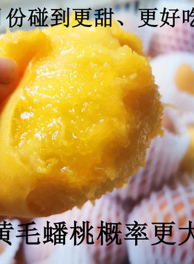 蒙阴黄金毛蟠桃纯甜软了更好吃。