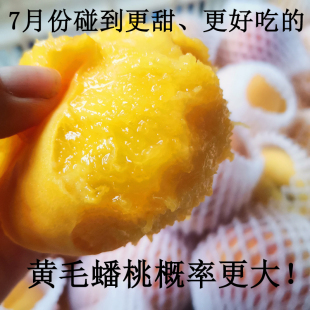 蒙阴露天黄金毛蟠桃纯甜挺好吃7月5号左右现有现卖