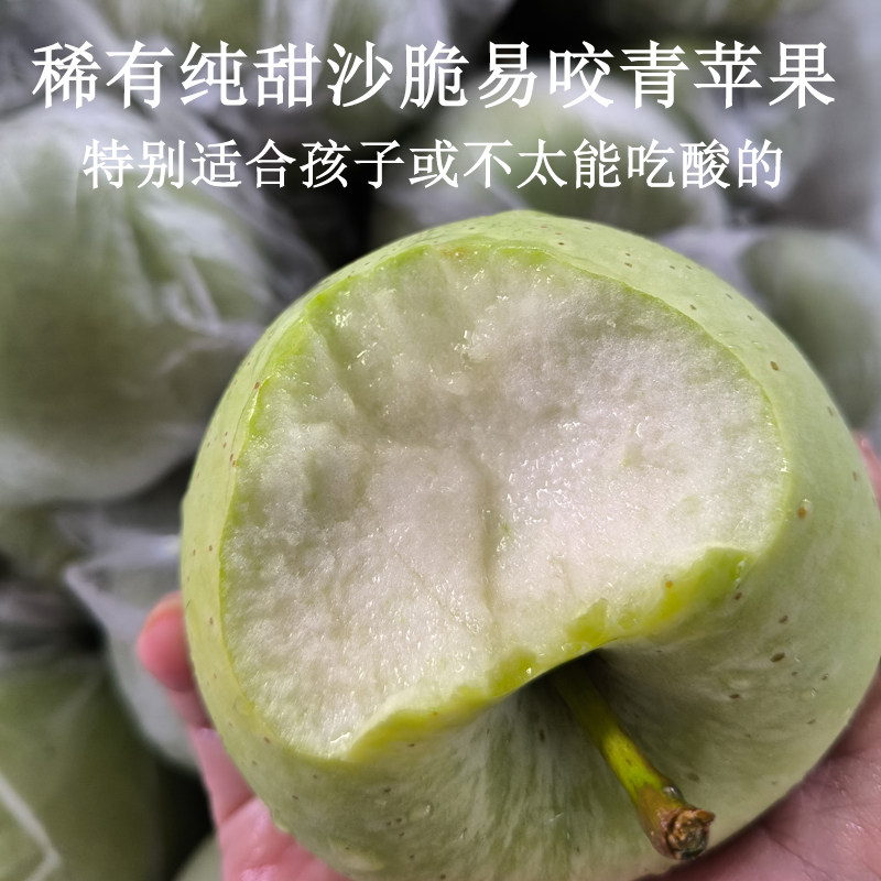山东沂蒙山青苹果中纯甜沙脆易咬适合孩子或者不太能吃酸的试试