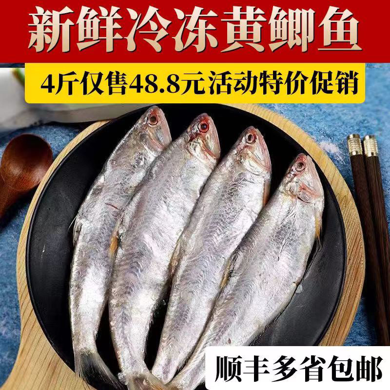 山东特产新鲜黄鲫子黄鲫鱼油炸黄尖鱼烤子鱼海鲜油扣簿鲫4斤包邮