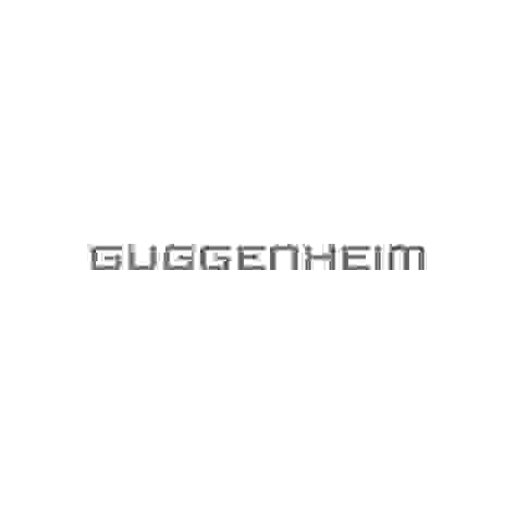 guggenheim古根海姆Guggenheim Investments  ot网测试vi面试题库