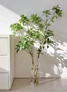 Handme马醉木仿真绿植高端轻奢客厅电视柜装饰摆件落地吊钟假植物