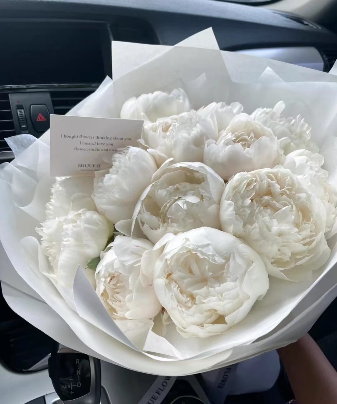 北京基地奶油碗芍药山东大芍药鲜切花进口品质御前表演室内花卉