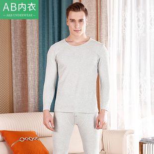 裤 AB内衣男士 磨绒棉棉毛衫 套装 Y835 秋冬纯棉莱卡纯色圆领秋衣秋裤