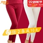 Yi và quần mùa thu mát mẻ nữ cotton dày ấm quần cotton mùa đông quần legging đơn mảnh quần cotton M57N - Quần nóng lên bán quần tất thu đông nam nữ