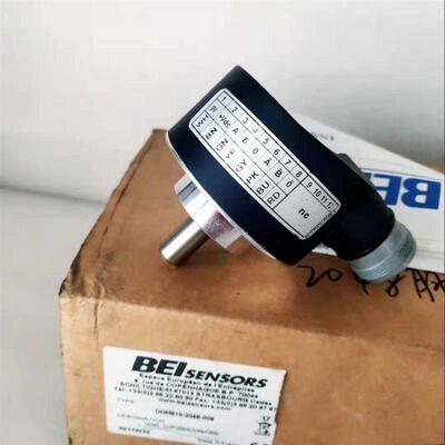 BEIsensors DHM510-2048-006询价