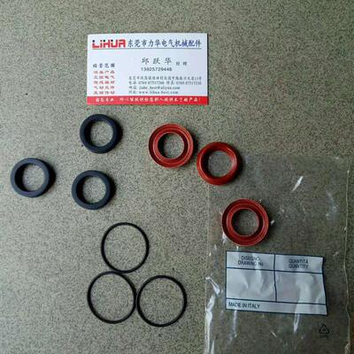 RK18.28HN意大利ANNOVI REVERBERI柱塞泵XWL-SS4V RGX 22.50询价