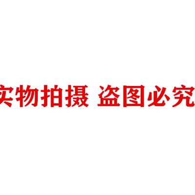 全新原装正品 施迈赛 FLANSCH FL1 配件 101096796 现货销售询价