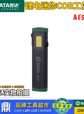 世达锂电迷你COB工作灯小型强光充电便携户外LED磁吸工作灯AE5923