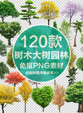 园林绿色植物免抠PNG大树木树枝黄树环保春天PS设计场景合成素材