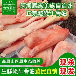 卡卡藏寨川西高原牦牛棒子骨 牛大骨 牛骨髓 牛骨油一斤装