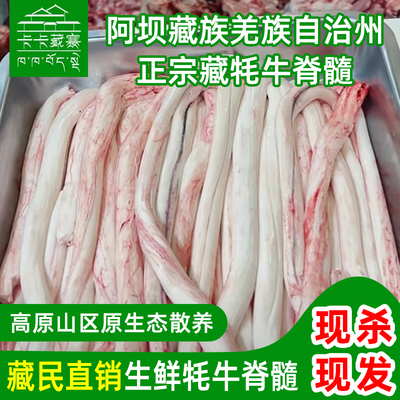新鲜牛骨髓牦牛骨髓卡卡藏寨