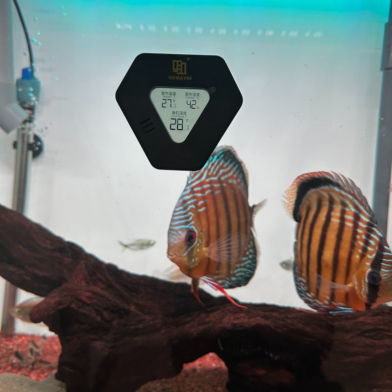 马印温度计鱼缸测温器鱼缸外电子温度测试湿度计多功能贴片水温计