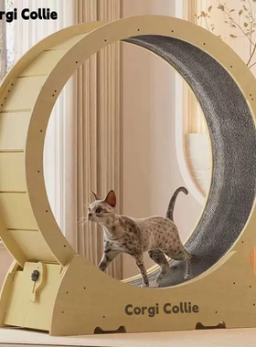 Corgi Collie猫咪跑步机静音猫跑轮实木运动健身宠物猫爬架猫滚轮