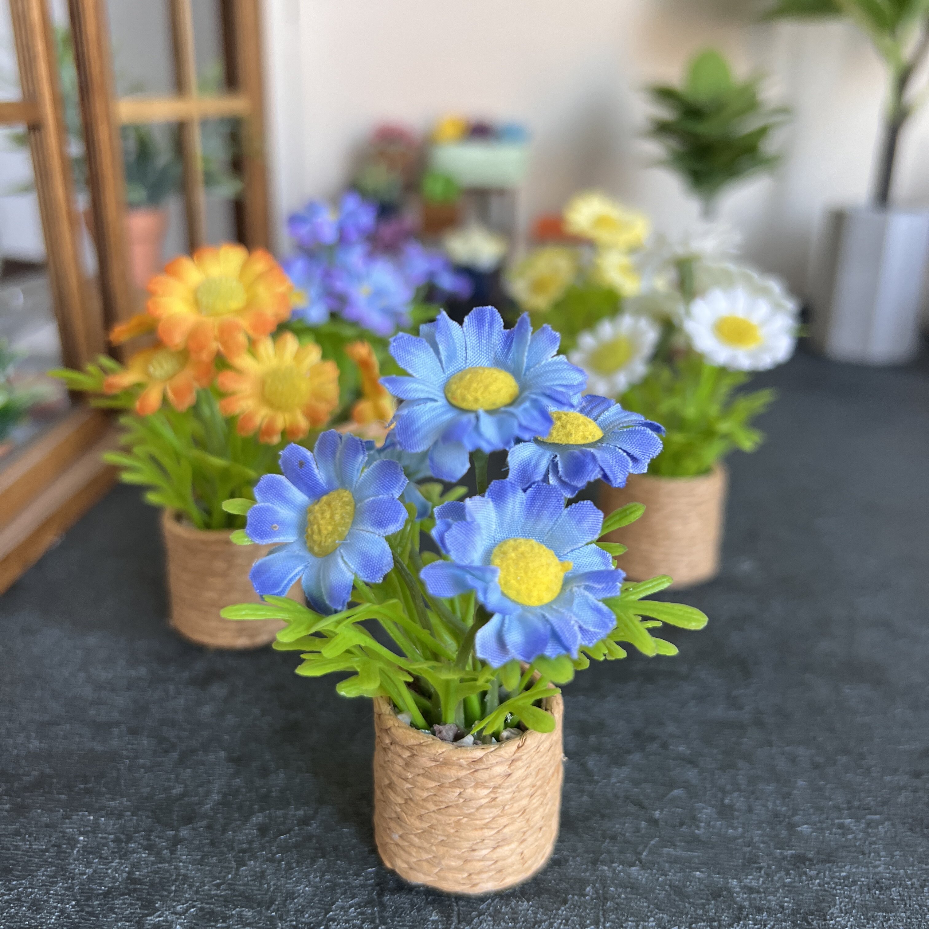 六分blythe植物盆栽ob11娃屋迷你微缩仿真绿植摆件绿植12分8分