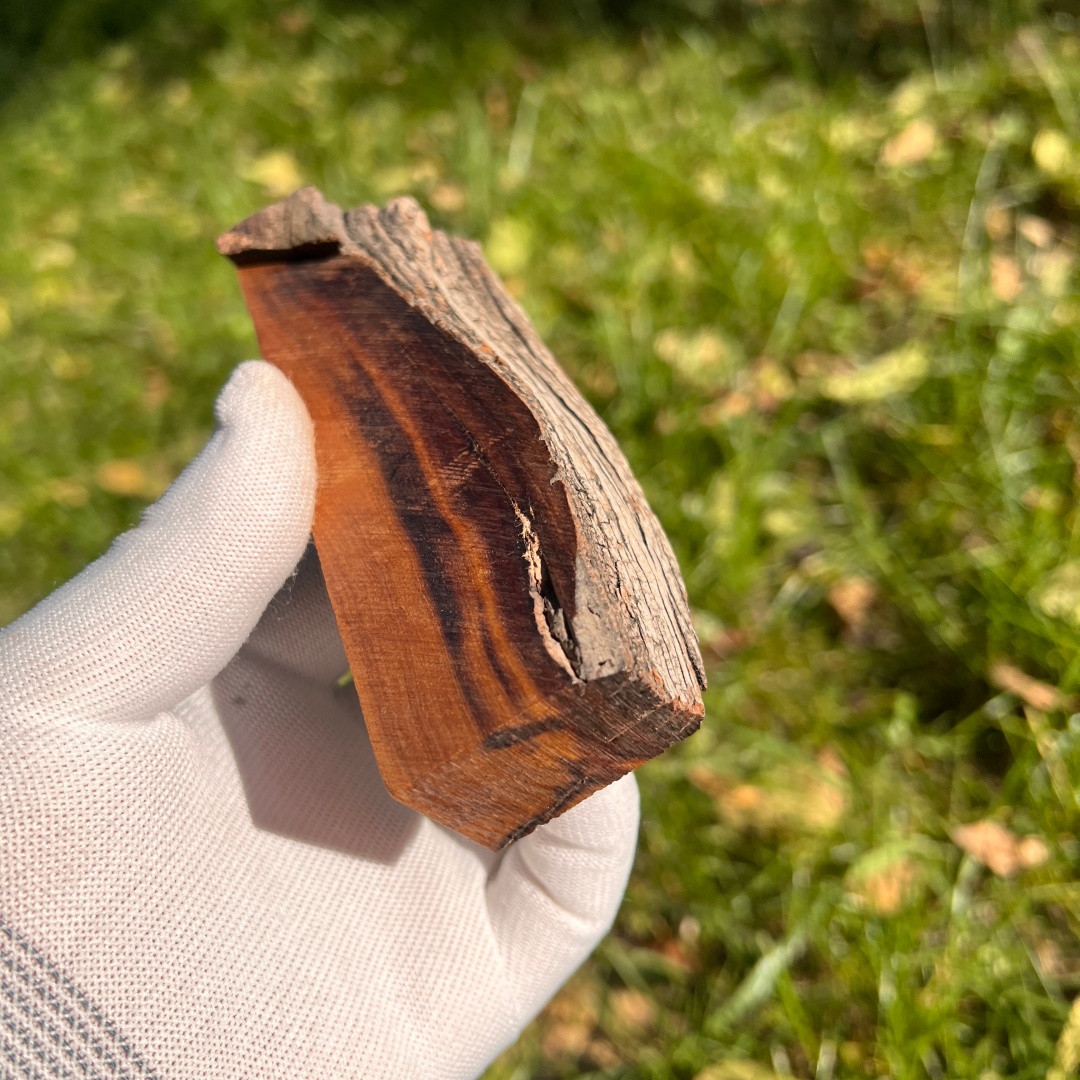 保真雷击枣木雷焦手把件原木原料