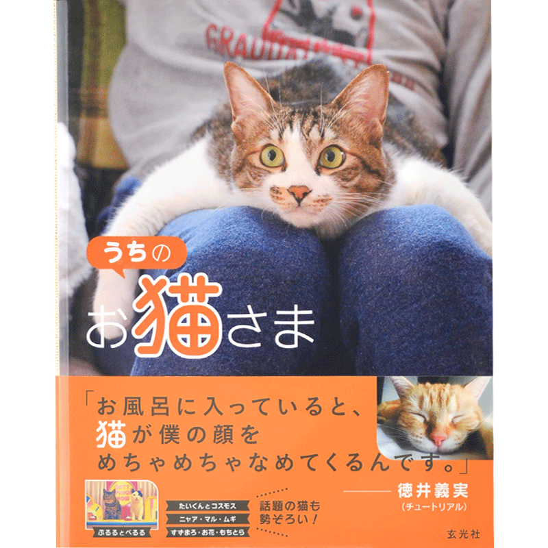 现货 进口日文 猫写真 我家的猫主子 うちのお猫さま