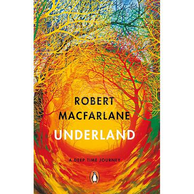 现货 深时之旅 罗伯特·麦克法伦 Robert Macfarlane 英文原版 Underland: A Deep Time Journey