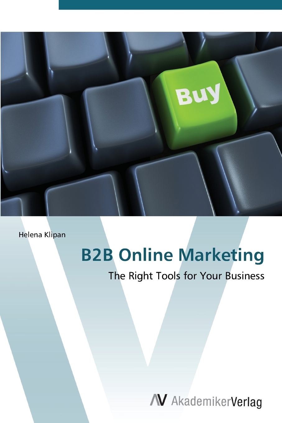 【预售 按需印刷】 B2B Online Marketing B2B在线营销:适合你的业务的工具 Helena Klipan 英文原版