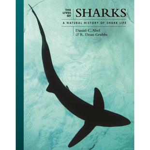 Lives Sharks鲨鱼 自然史 The 生活——鲨鱼生活 普林斯顿 满299送PUP新年台历