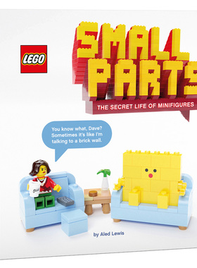 现货 乐高 人仔的秘密生活 英文原版 LEGO Small Parts:The secret life of minifigures 乐高小物 书
