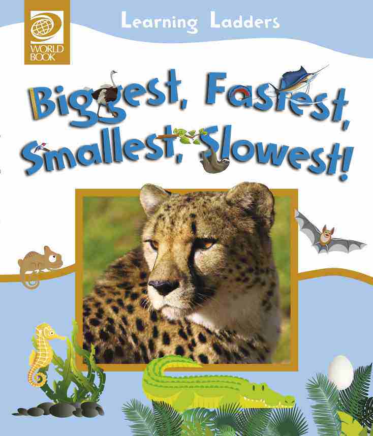 预售 按需印刷 Biggest  Fastest  Smallest  Slowest 大，快，小，慢!(学习梯子第三册)  Echo González 英文原版