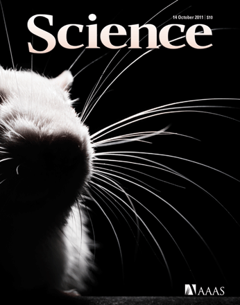 【全年订阅】科学月刊 Science Monthly