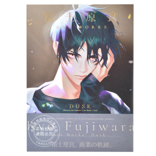 进口日文 WORKS 富士原良 冨士原良ART DUSK 画集 现货