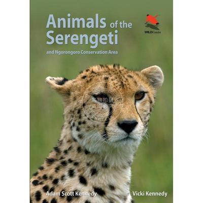 【满299送PUP新年台历】 Animals of the Serengeti塞伦盖谛的动物：恩戈罗恩戈罗自然保护区（丛书） 普林斯顿