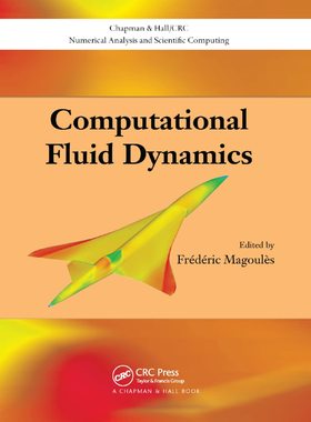 预售 按需印刷 Computational Fluid Dynamics