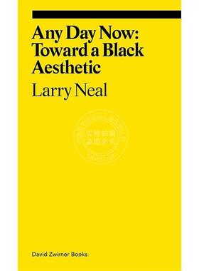指日可待：迈向黑人美学 艺术理论 英文原版 Any Day Now: Toward a Black Aesthetic