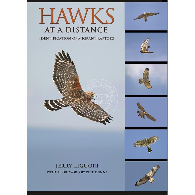 远处的鹰 识别迁徙猛禽 Jerry Liguori 英文原版 Hawks at a Distance: Identification of Migrant Raptors