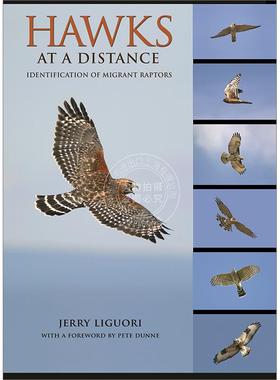 远处的鹰 识别迁徙猛禽 Jerry Liguori 英文原版 Hawks at a Distance: Identification of Migrant Raptors