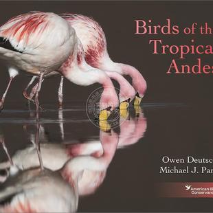 【满299送PUP新年台历】 Birds of the Tropical Andes 安第斯之鸟:文化与生态 普林斯顿