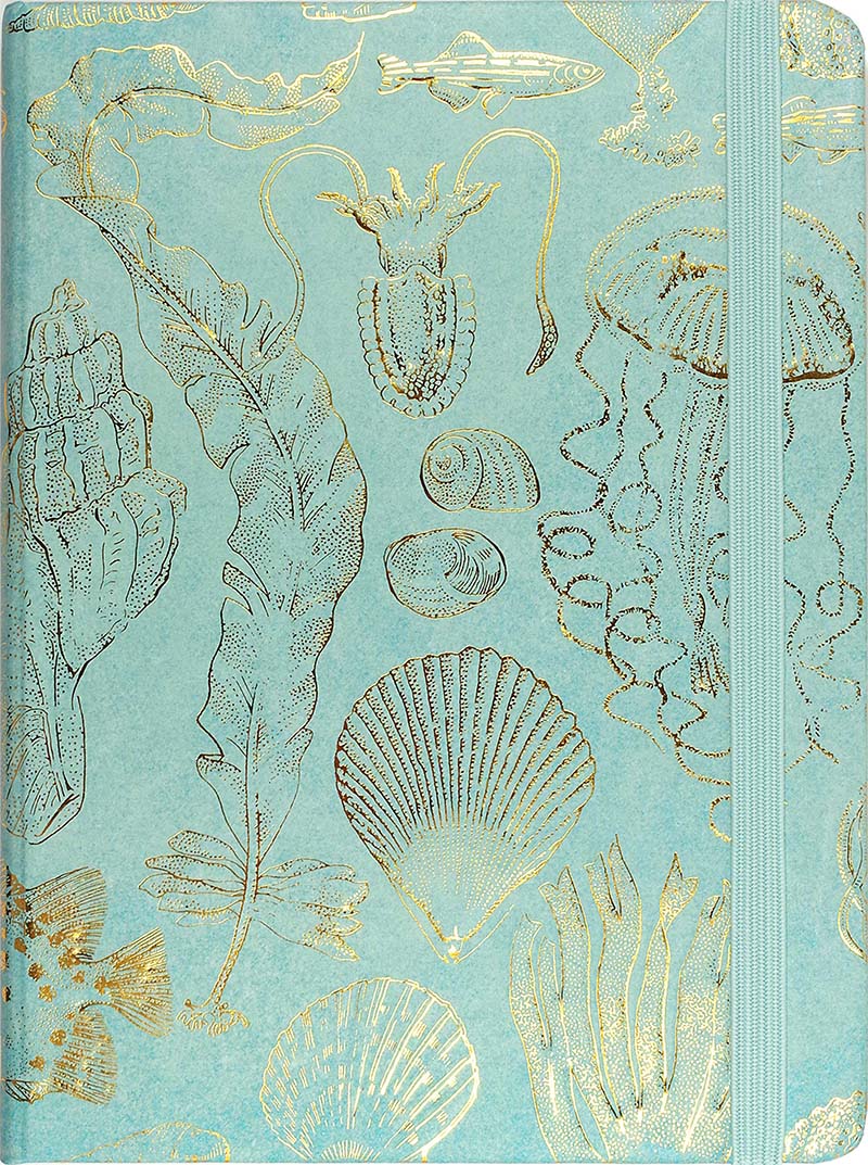 现货海洋素描笔记本英文原版 SEALIFE SKETCHES JOURNAL文创周边 Peter Pauper Press无酸纸