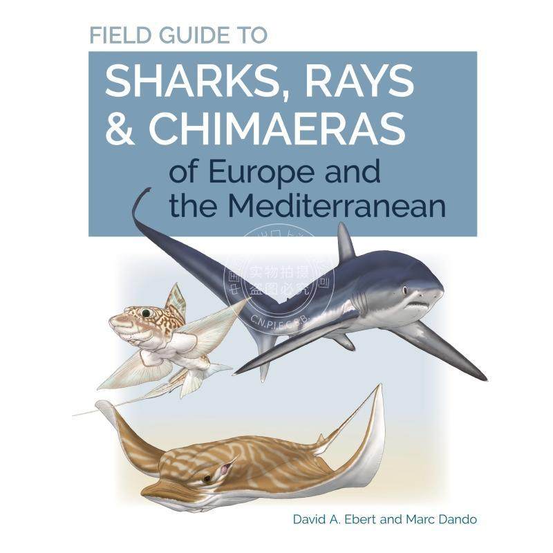 Field Guide to Sharks Rays Chimaeras of Europe and the Mediterranean欧洲和地中海鲨鱼鳐和普林斯顿