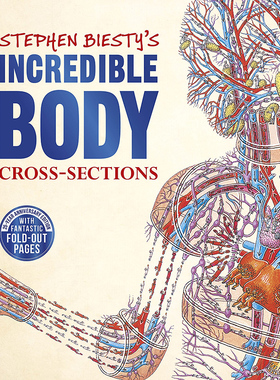 不可思议的大剖面：人体的秘密 英文原版 DK Stephen Biesty's Incredible Body Cross-Sections