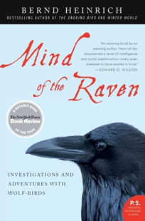 and 与狼鸟 按需印刷Mind Adventures Investigations the 调查和冒险 心灵 with 英文原版 Birds Raven 乌鸦 预售 Wolf